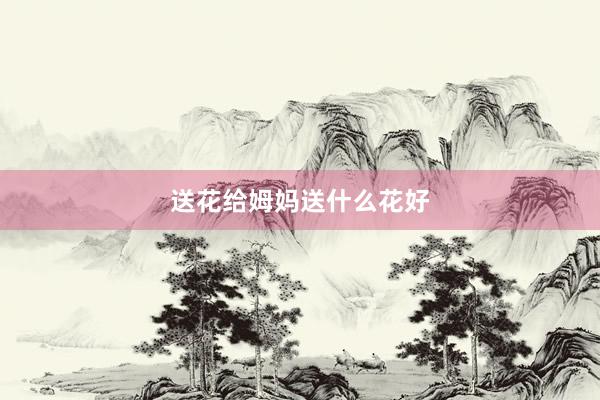 送花给姆妈送什么花好